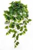 Plantenwinkel.nl Kunstplant Philodendron M hanger online kopen